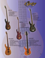 Bass Guitars