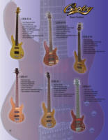 Bass Guitars