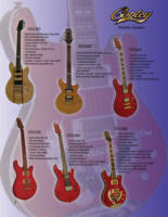 Electric Guitars