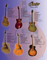 Electric Guitars