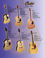 Acoustic Guitars