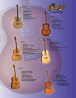 Acoustic Guitars