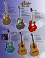 Acoustic Guitars