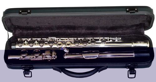 FL-50 Flute in Case